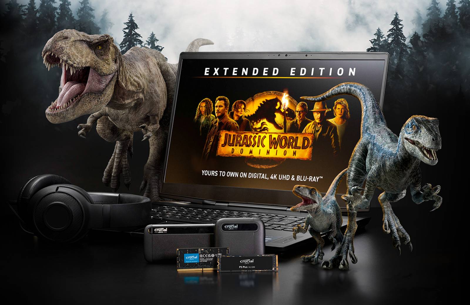 Remplacement de disque dur mécanique par des unité SSD