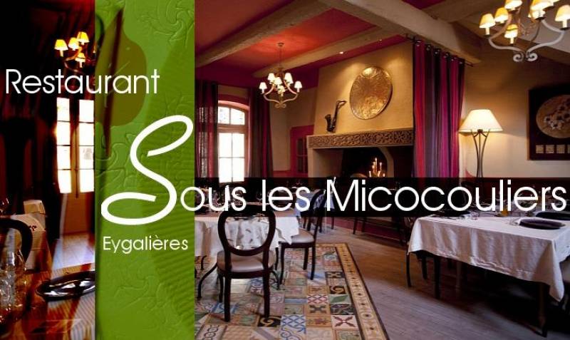 Restaurant les Micocouliers Eygalières